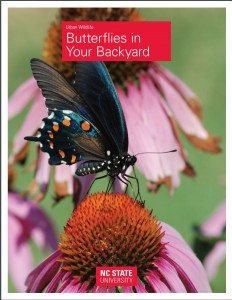 Cover photo for Butterflies in Your Backyard