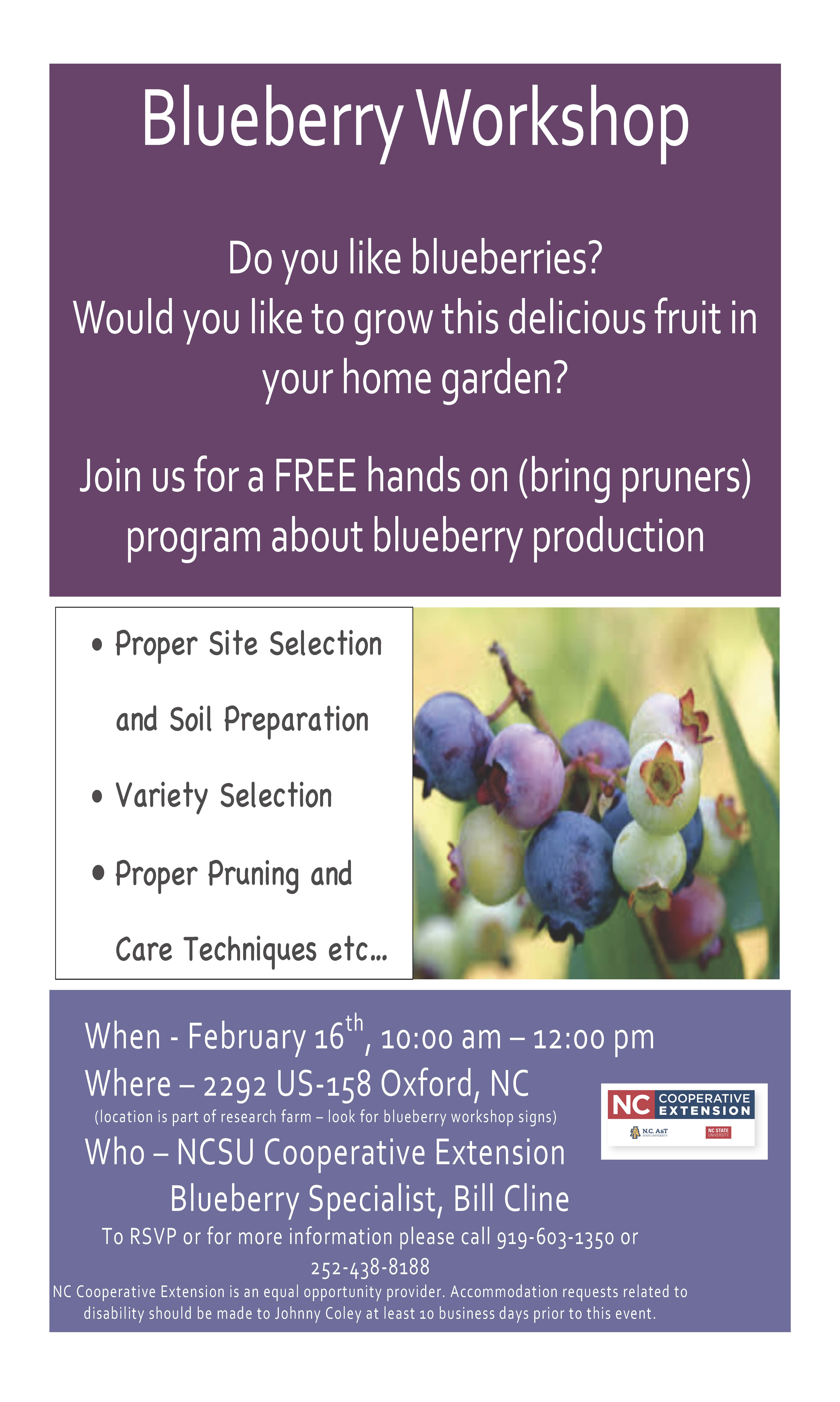 Blueberry workshop flyer image