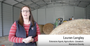 Cover photo for Video: How to Sample Hay Bales for Nutritive Value Analysis