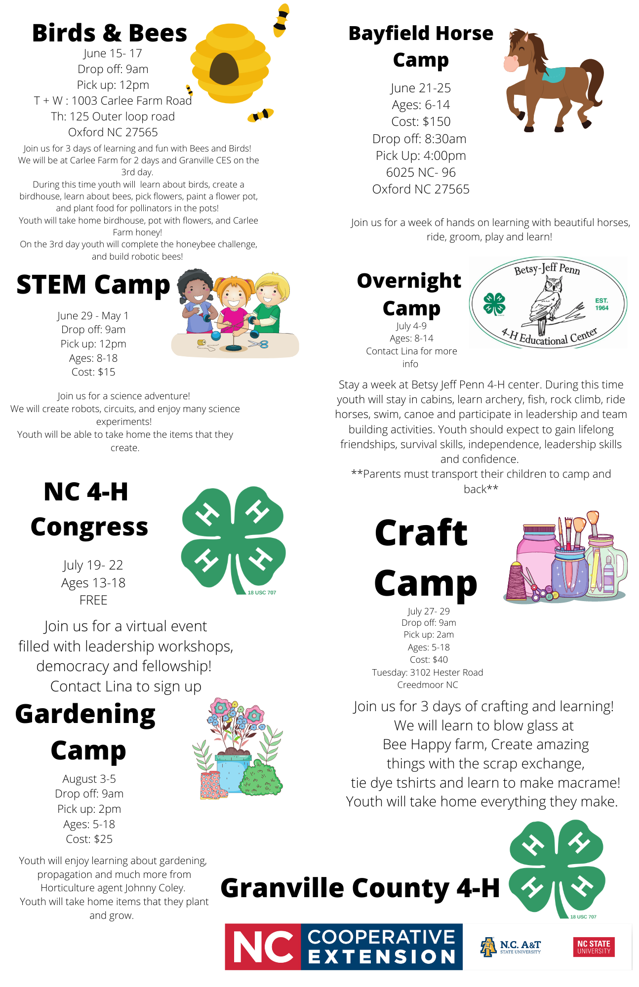 Summer Fun camps flyer image