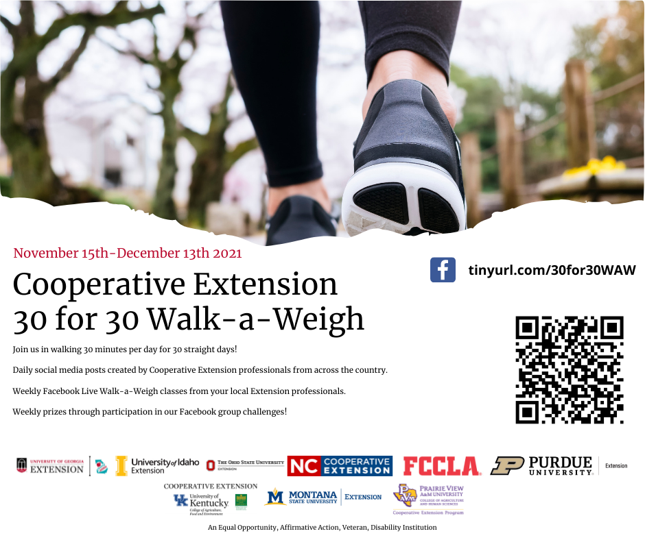 Walking challenge flyer